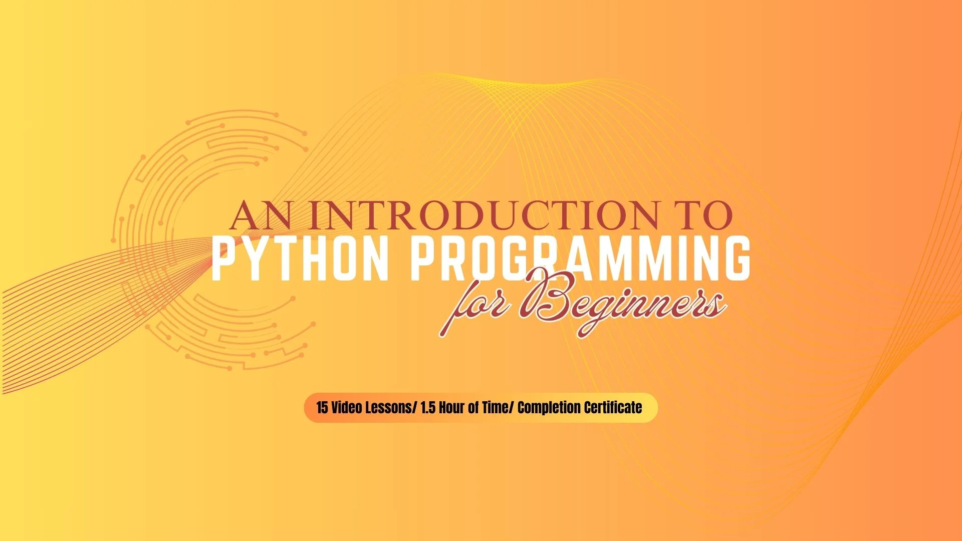 An Introduction to Python Programming for Beginners | GoEdu Online Learning